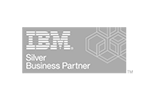 IBM partner